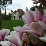 Chateau De Werde 3* Matzenheim