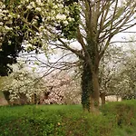Bed & Breakfast Chateau De Werde 3*