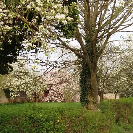 Bed & Breakfast Chateau De Werde 3*