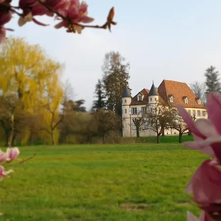 Bed and breakfast Chateau De Werde Matzenheim