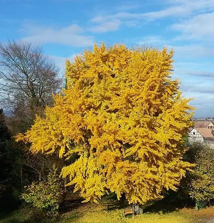 Bed & Breakfast Chateau De Werde