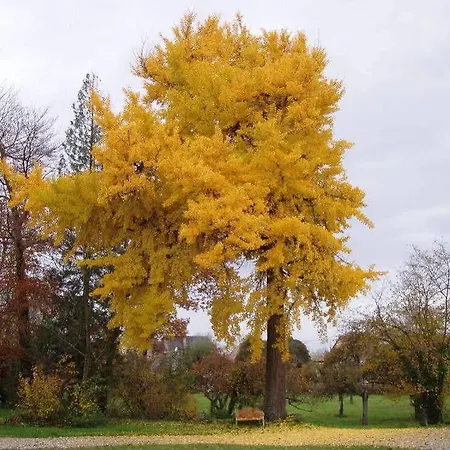 Bed & Breakfast Chateau De Werde