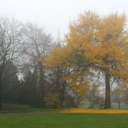 Chateau De Werde Matzenheim