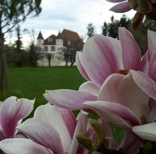 Chateau De Werde 3* Matzenheim