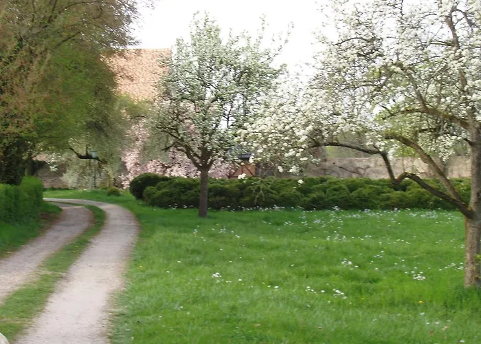 Chateau De Werde Bed & Breakfast 3*