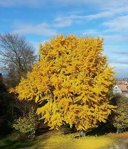 Bed & Breakfast Chateau De Werde