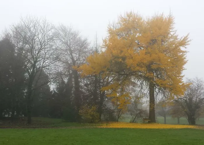 Chateau De Werde Matzenheim