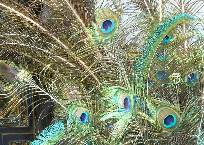 Bed & Breakfast Chateau De Werde